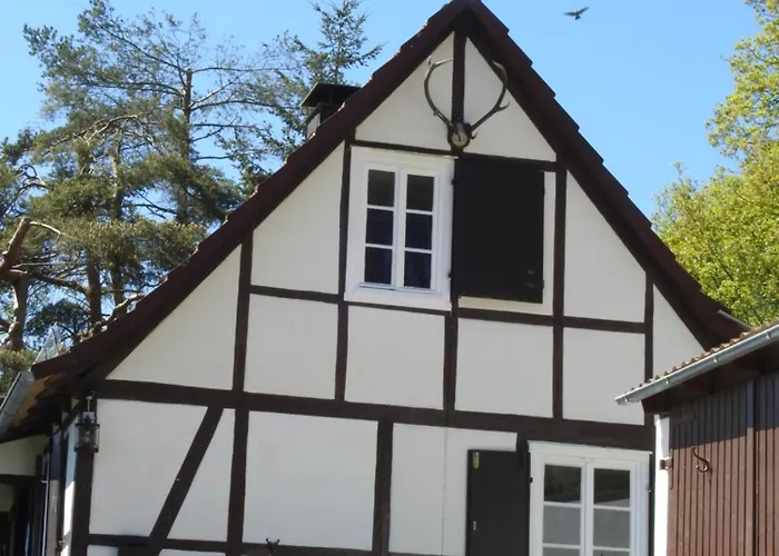 Linnehus Am Diemelsteig بيت للعطل